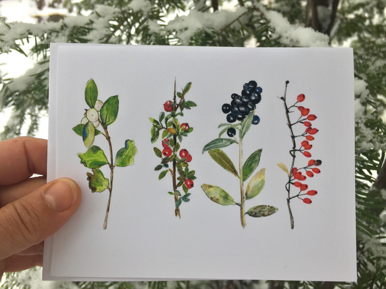 Ensemble de 3,5 ou 10 cartes