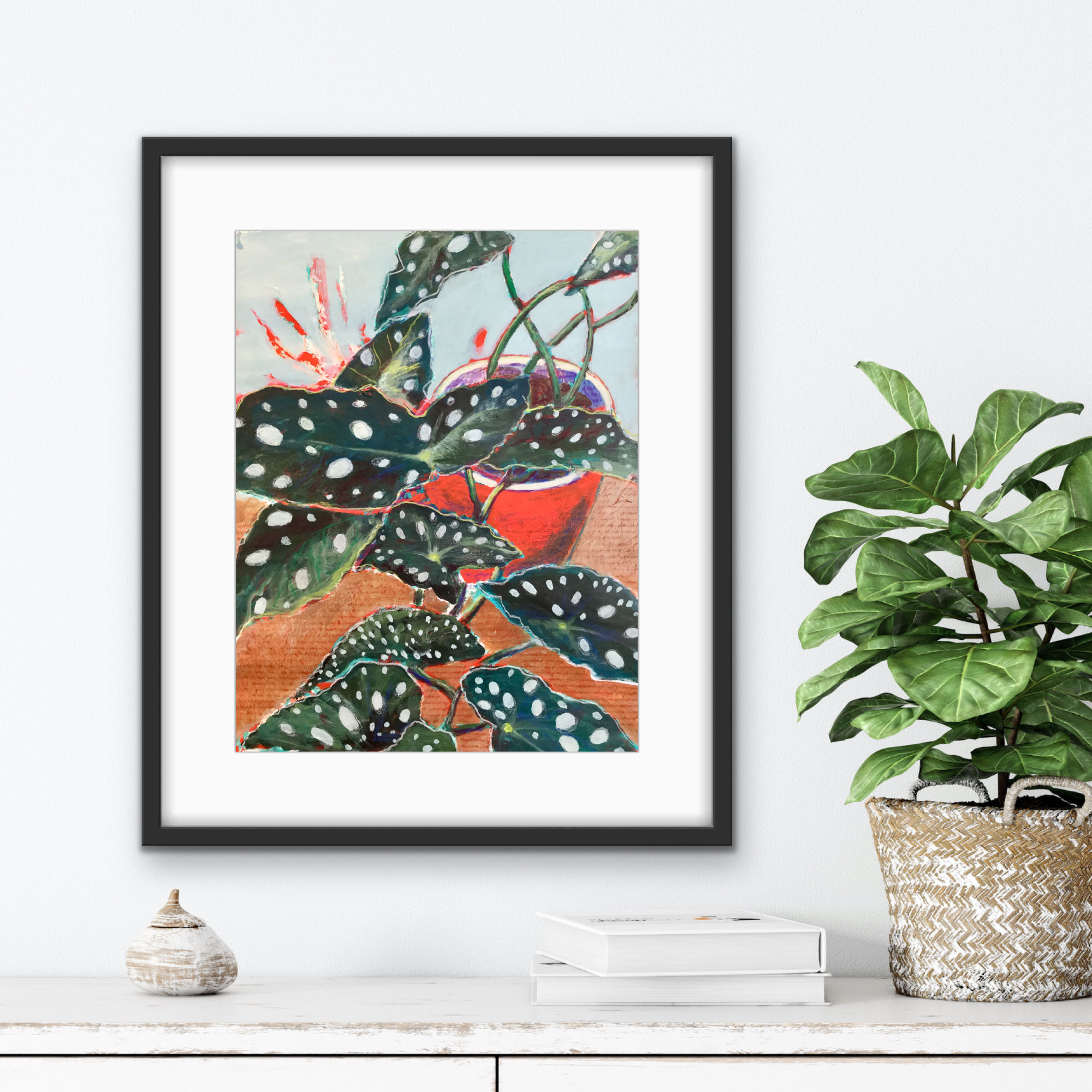 Bégonia maculata (Impression)