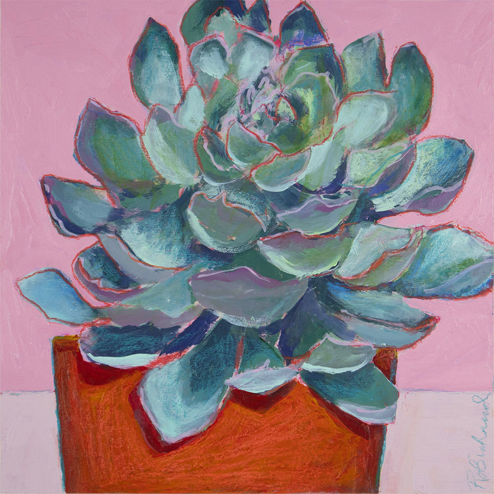 Rosette succulente (Succulent rosette)