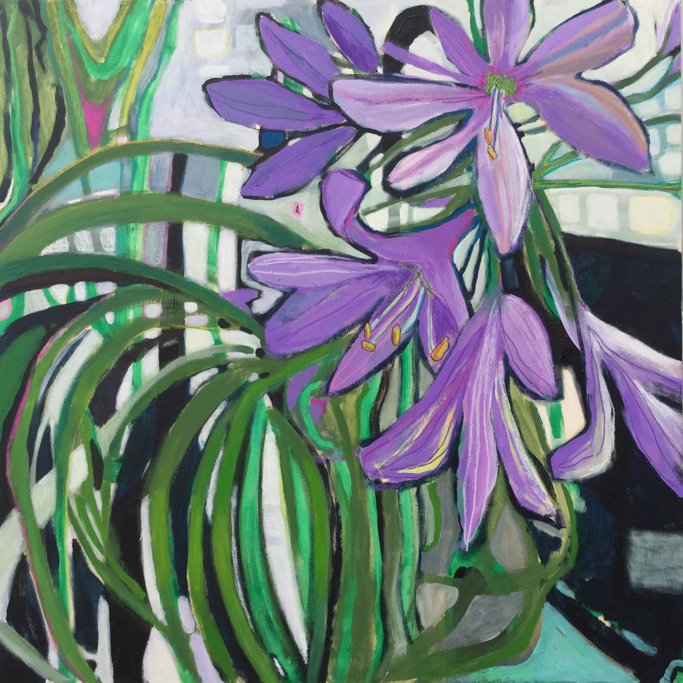 Agapanthe, lumière naturelle