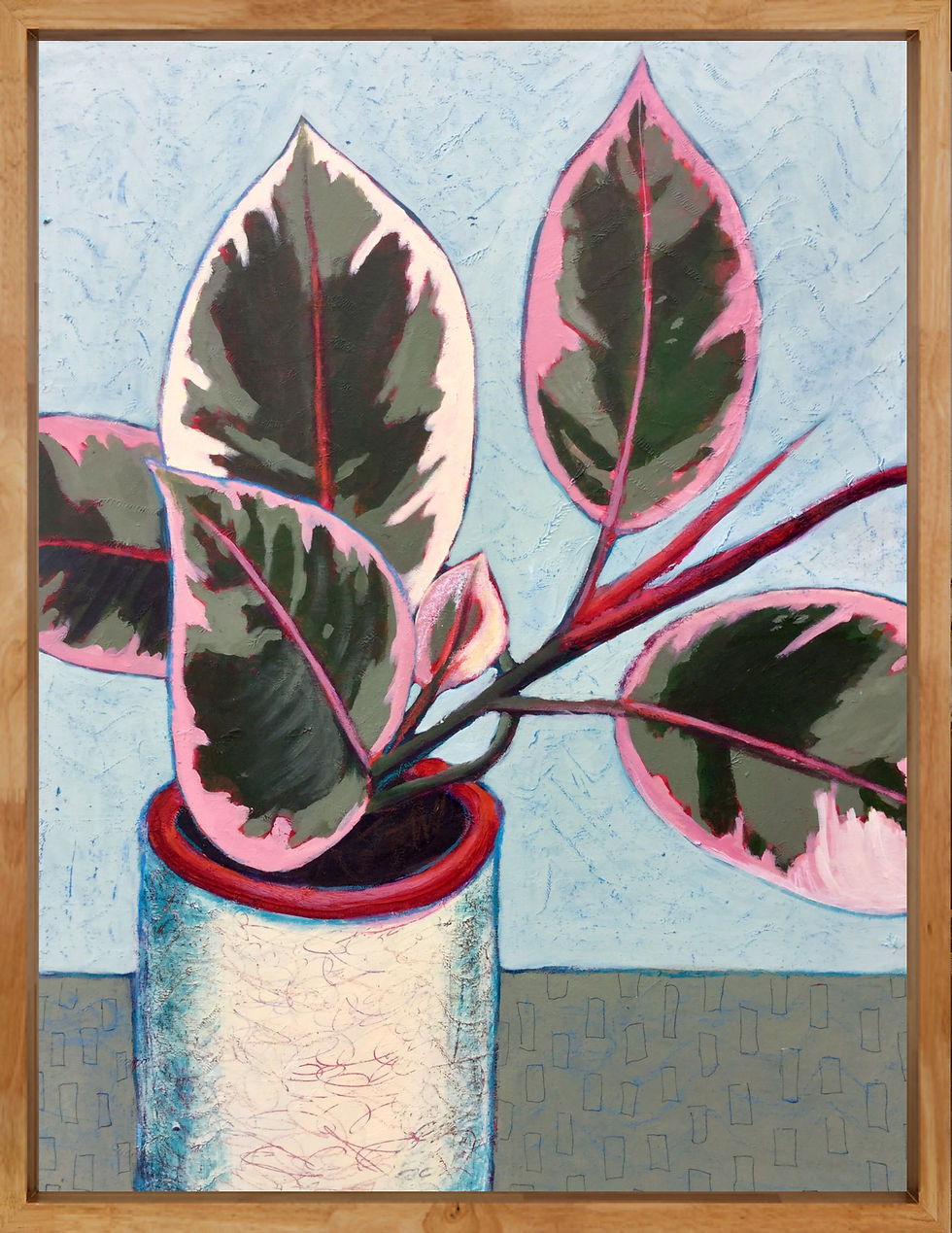 Thumbnail: Jeune Ficus (Young ficus)
