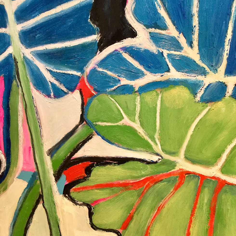Thumbnail: Alocasia, lumière d'automne (Alocasia, autumn light)