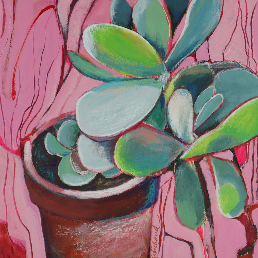 My beloved kalanchoe