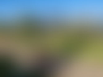 Are Electric Scooters and Bikes (aka micro-mobility devices) the Key to Solving Urban Transportation Woes?