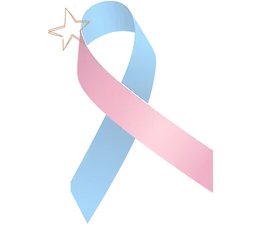 Accompagnement deuils perinatal