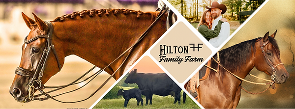 Remember to Breathe.png