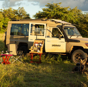 Tanzania safari for first-timers