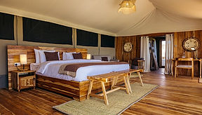 Safari Accommodation