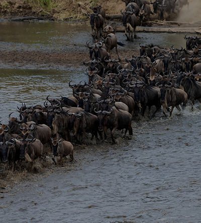 _DSC2561 (3)_edited.jpg