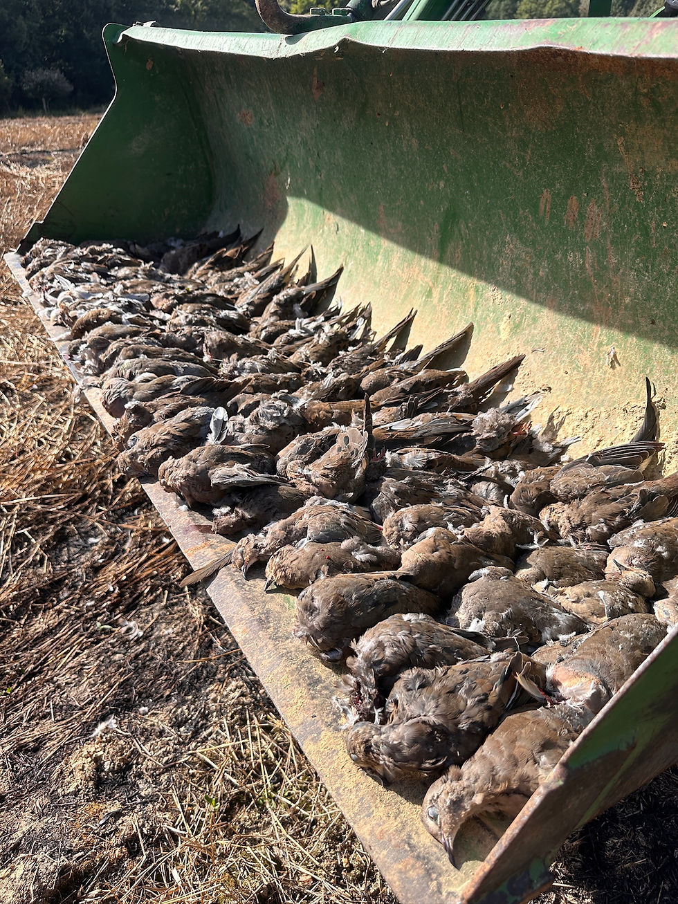 A great way to kick off the hunting season!