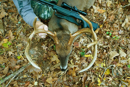 Looking down on a nice Carolina Whitetail