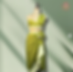 Green draped saree ensemble with floral waist detail and asymmetrical blouse, designed in-house by E Darjee, displayed on a mannequin against a soft green background.