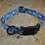 Thumbnail: Mtn Straps Colorado Paw Dog Collar