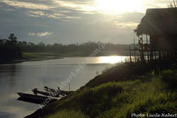 20 de enero - Amazonie