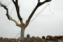 Rencontre en pays Dogon