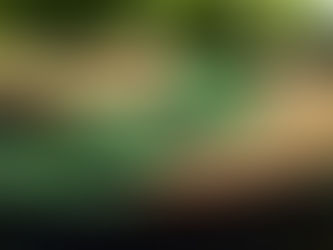 Pre-Christmas Update!