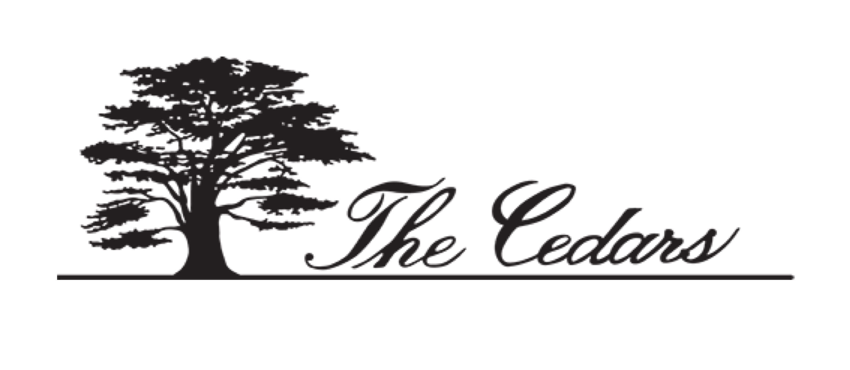 Cedars the photo 10