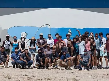 sea of cortezmx.webp
