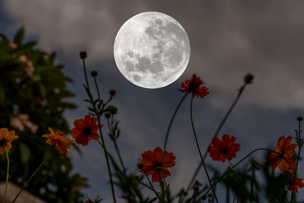 AdobeStock_374683961.jpeg