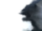 AdobeStock_283555712.jpeg