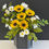 Thumbnail: Sunny Splendour