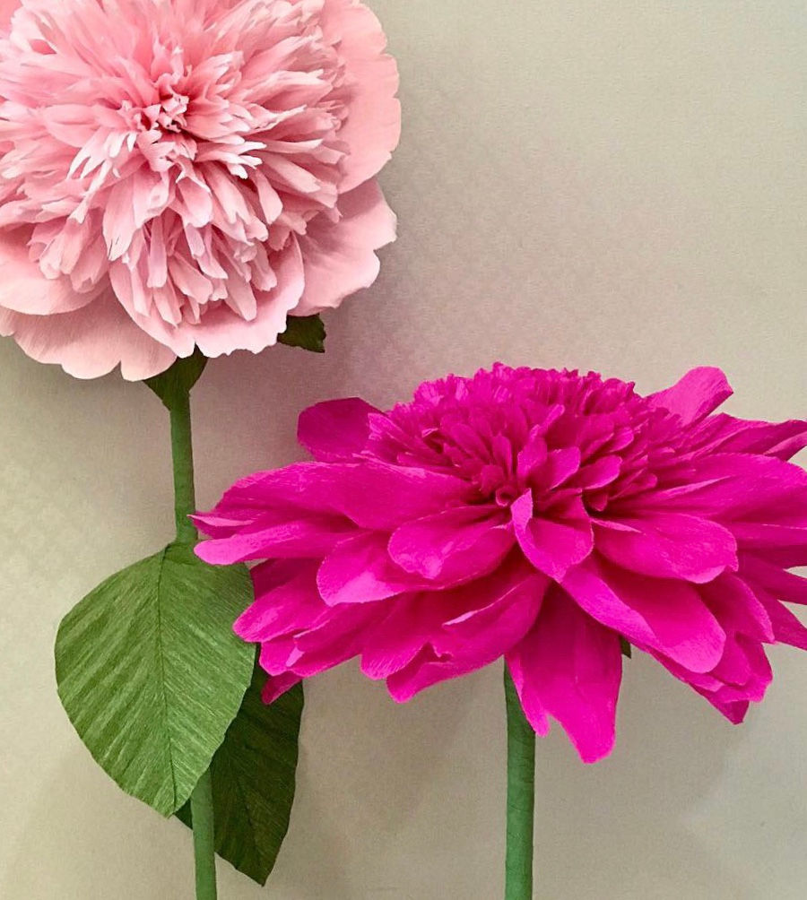 Thumbnail: Giant paper flowers- Charm Peonies