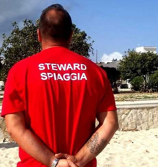 steward-spiaggia-1000x675_edited.jpg