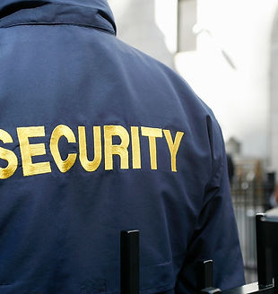 Security Guard_edited.jpg