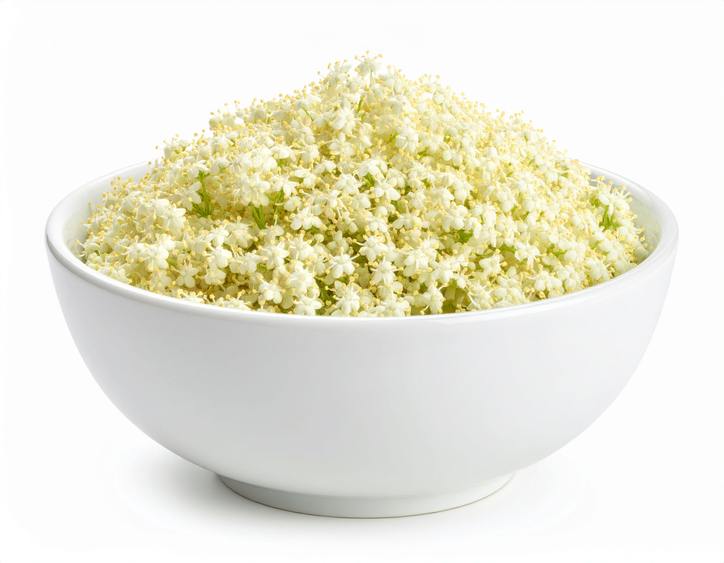 Meadowsweet (Filipendula ulmaria)