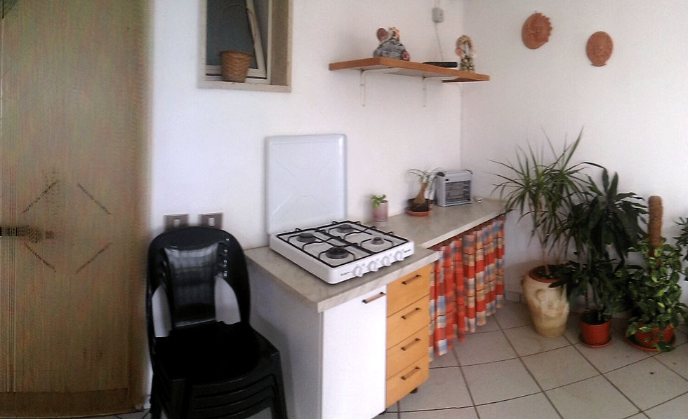 010.jpg