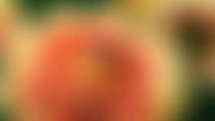 The Golden Shadow | Shadow Work