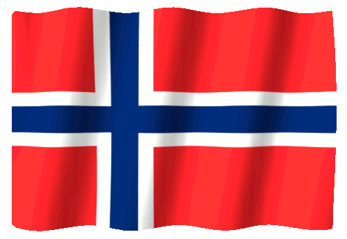 Flagg vaiende.gif