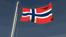 flag-flag-waver.gif
