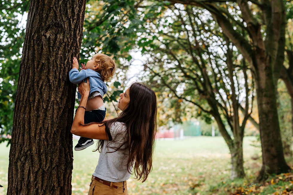 Eye-level view of a child touching rough tree bark with one hand.
