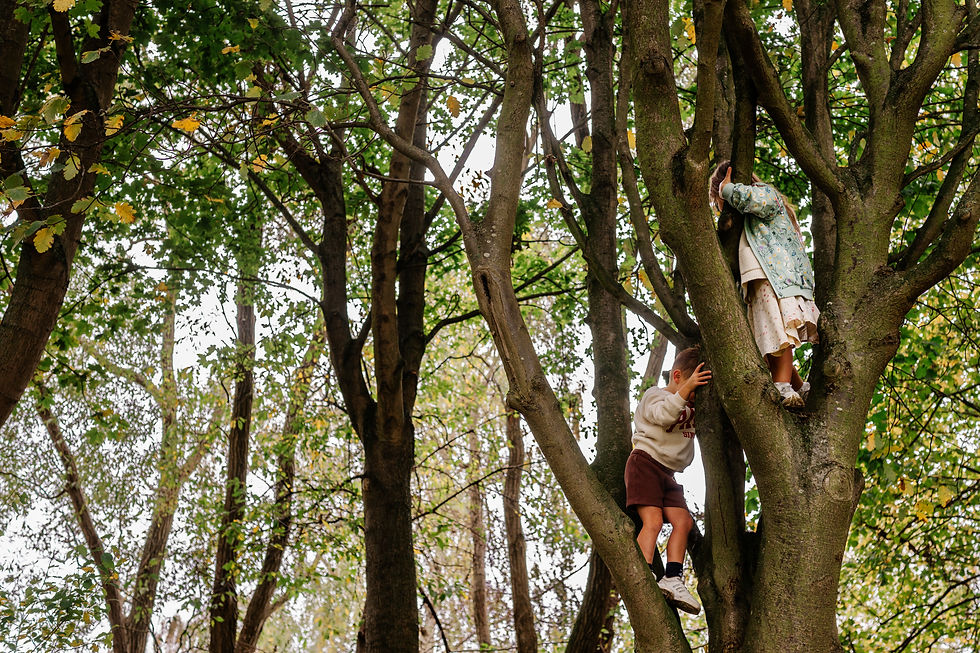 Close-up view of small hands gripping tree bark while climbing.