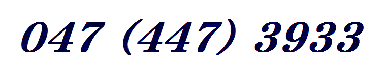 047 (447) 3933
