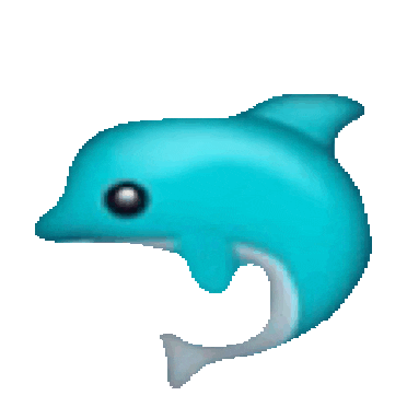 dolphin gif