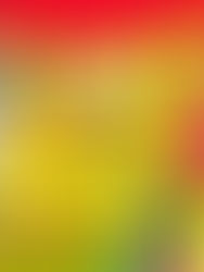 the good life GVC painting