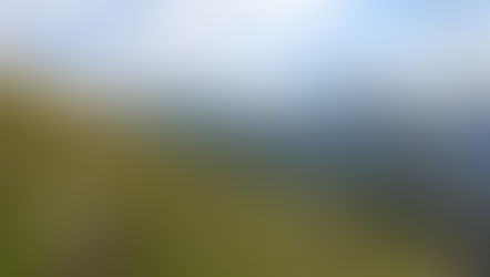 La Touchétie et plus encore