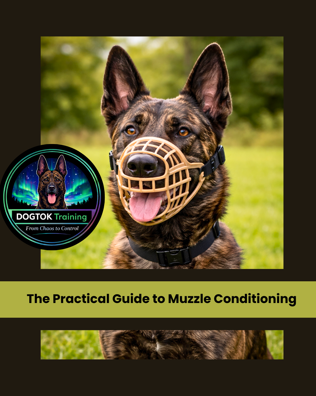 Muzzle Conditioning Guide: DOGTOK Training