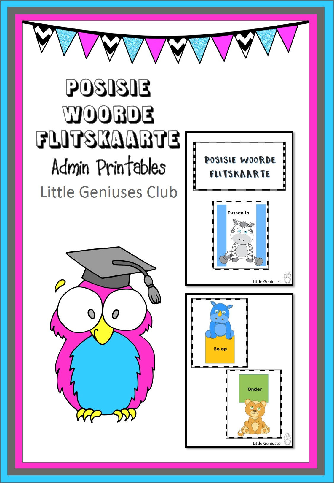 POSISIE WOORDE FLITSKAARTE