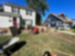 During brush and shrub removal