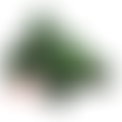 2001 - Gorillaz - Gorillaz