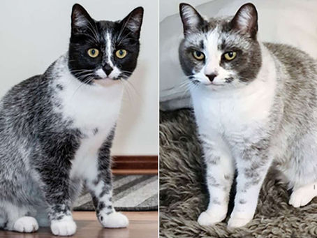 11/20/25 - Least Fav T-Giving Food, Analog Renaissance, and A Word of the Day