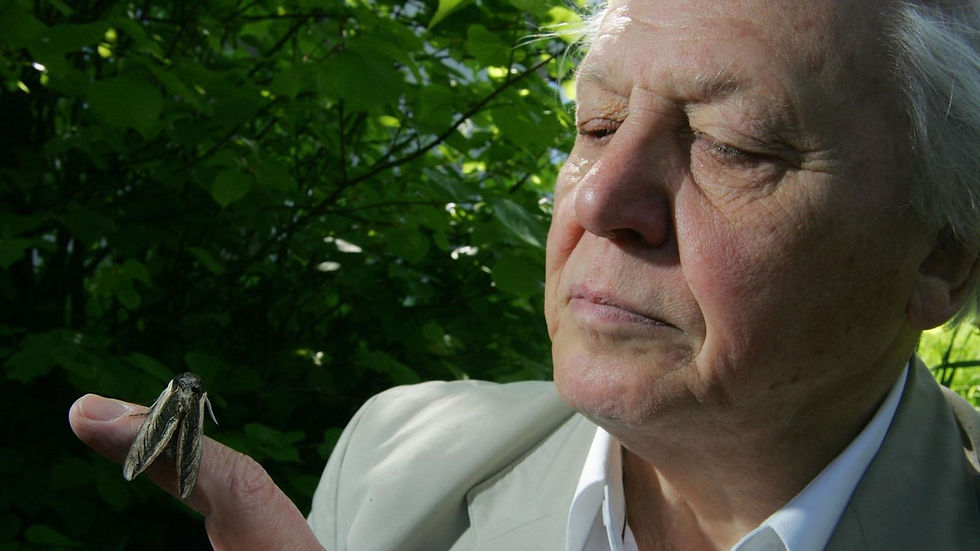 5/11/26 - Credit Cards, Bras, and David Attenborough