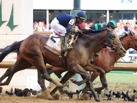 6/8/24 & 6/9/24 - Horsies Race, Telephonophobia, and Unusual Mascots
