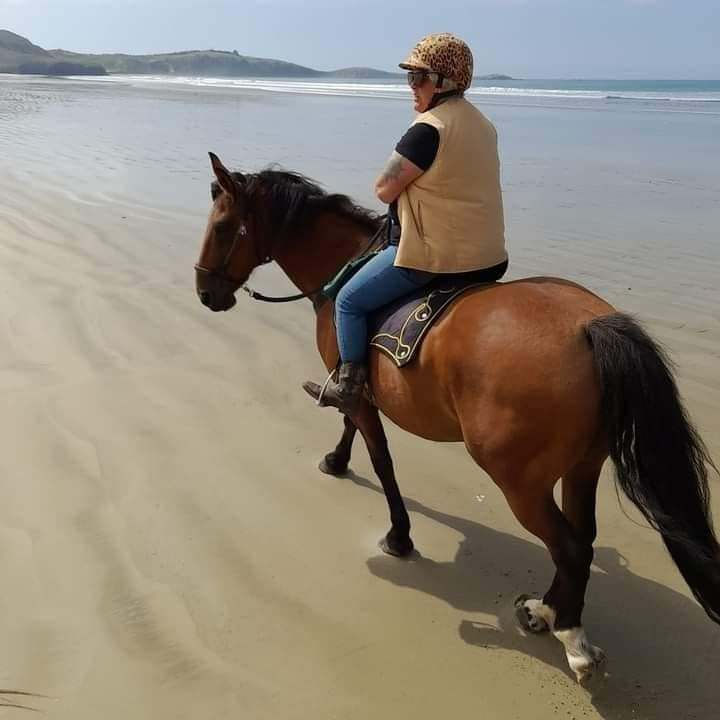 Locki on a beach trek