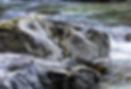 Rocks by the river