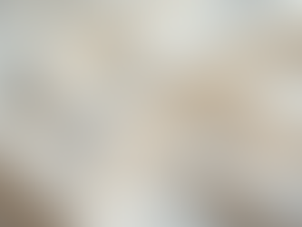 Discover the Best Underwear Materials for Comfort