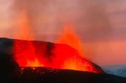 342 Fontaines OK+ .jpg